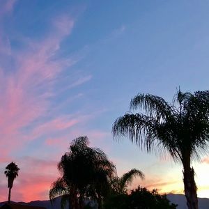 Meet your Posher, Marlene